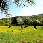A-sissy-hof Bischofstetten