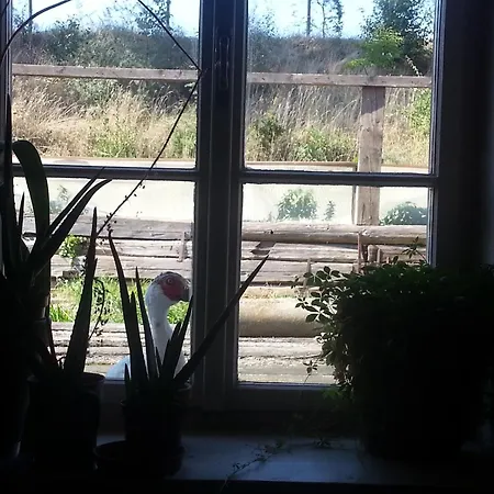 A-sissy-hof Gospodarstwo agroturystyczne *