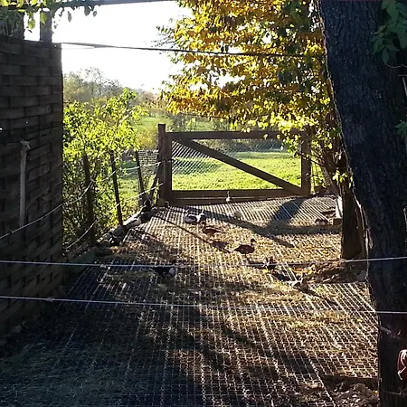 A-sissy-hof Bischofstetten