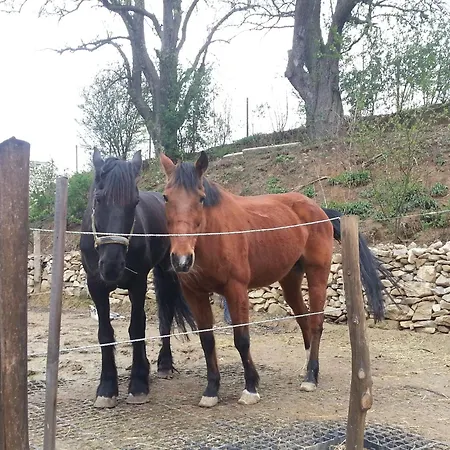 A-sissy-hof Bischofstetten