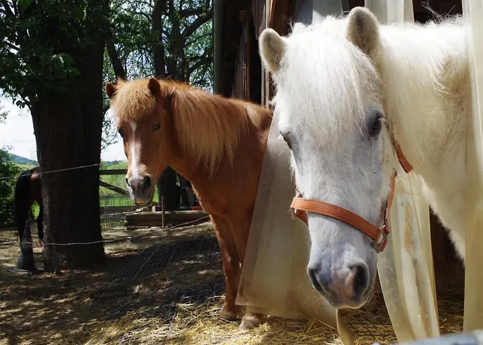 A-sissy-hof * Bischofstetten