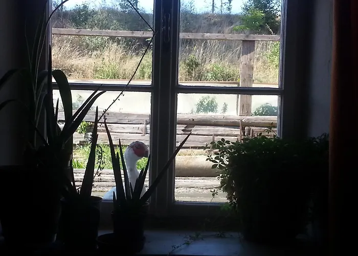 A-sissy-hof Gospodarstwo agroturystyczne *