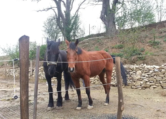 A-sissy-hof Bischofstetten