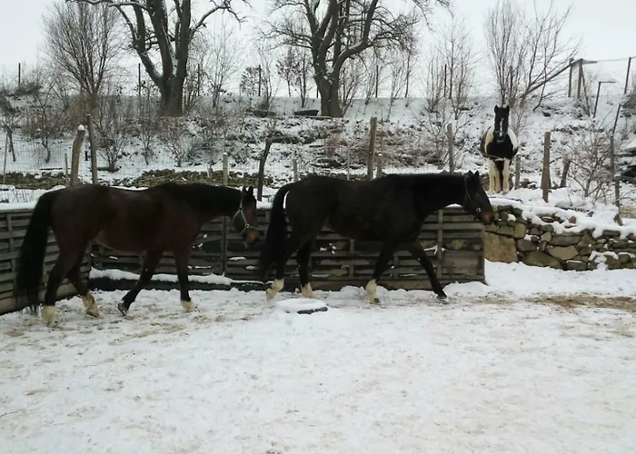 A-sissy-hof Gospodarstwo agroturystyczne Bischofstetten